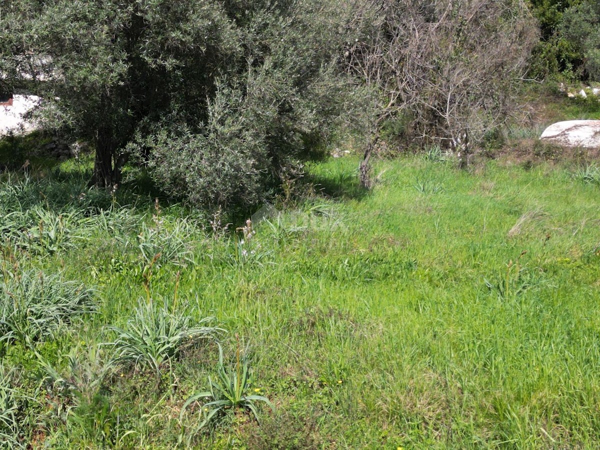 Land For sale - ISTARSKA RAŠA