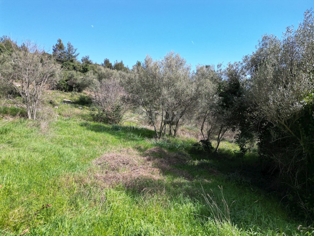 Land For sale - ISTARSKA RAŠA