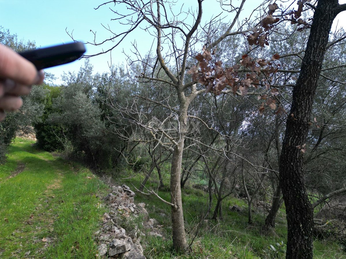 Terreno In vendita - ISTARSKA RAŠA