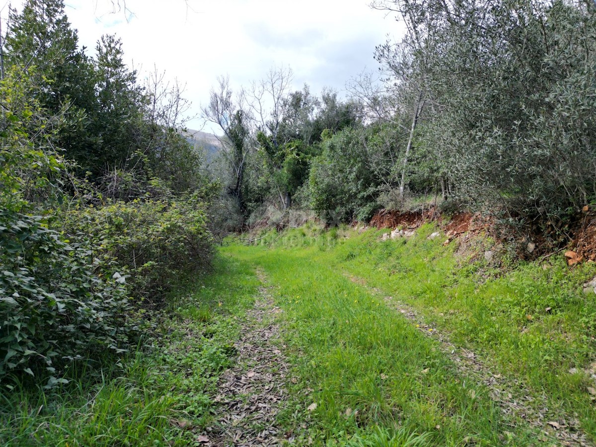 Land For sale - ISTARSKA RAŠA