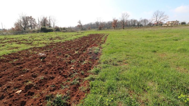 Zemljište na prodaju 5677 m² – Tar
