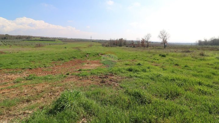 Grundstück Zu verkaufen - Istarska Tar-vabriga - foto 3/5