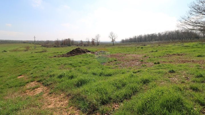 Grundstück Zu verkaufen - Istarska Tar-vabriga - foto 4/5