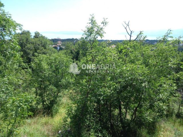 Parcela Naprodaj - Zagrebačka Sveti Ivan Zelina - foto 4/4
