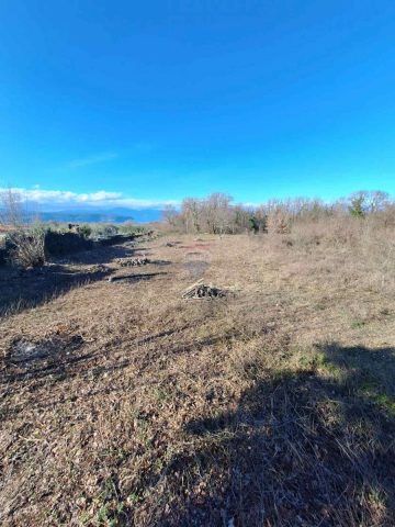 Zemljište na prodaju 1113 m² – Brzac