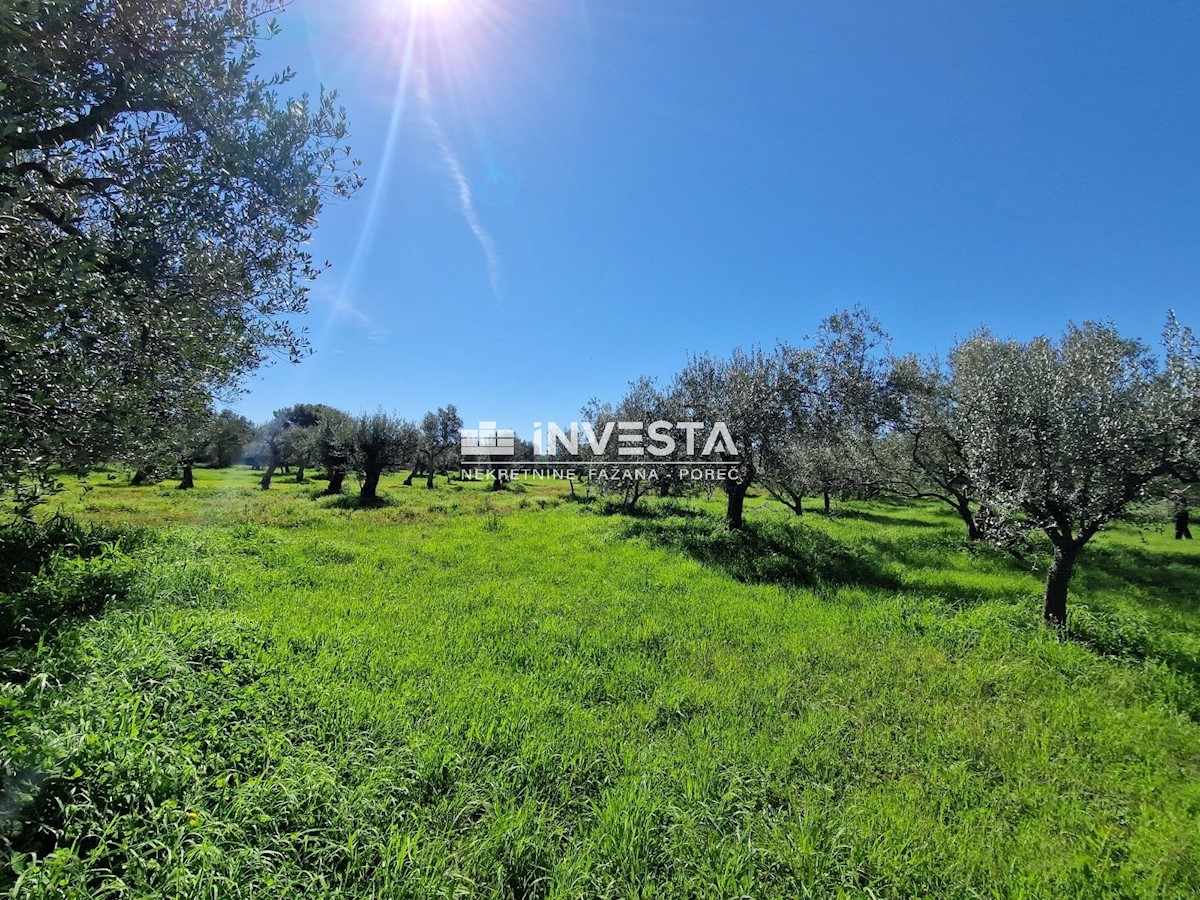 Land For sale - ISTARSKA VODNJAN