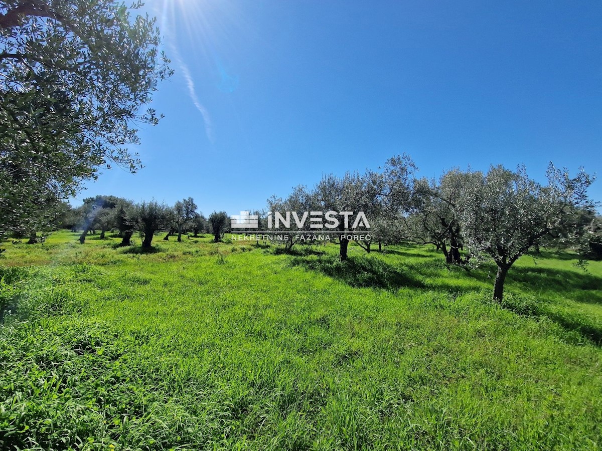 Land For sale - ISTARSKA VODNJAN