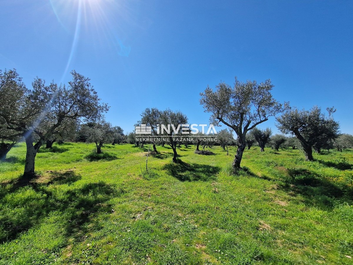 Land For sale - ISTARSKA VODNJAN