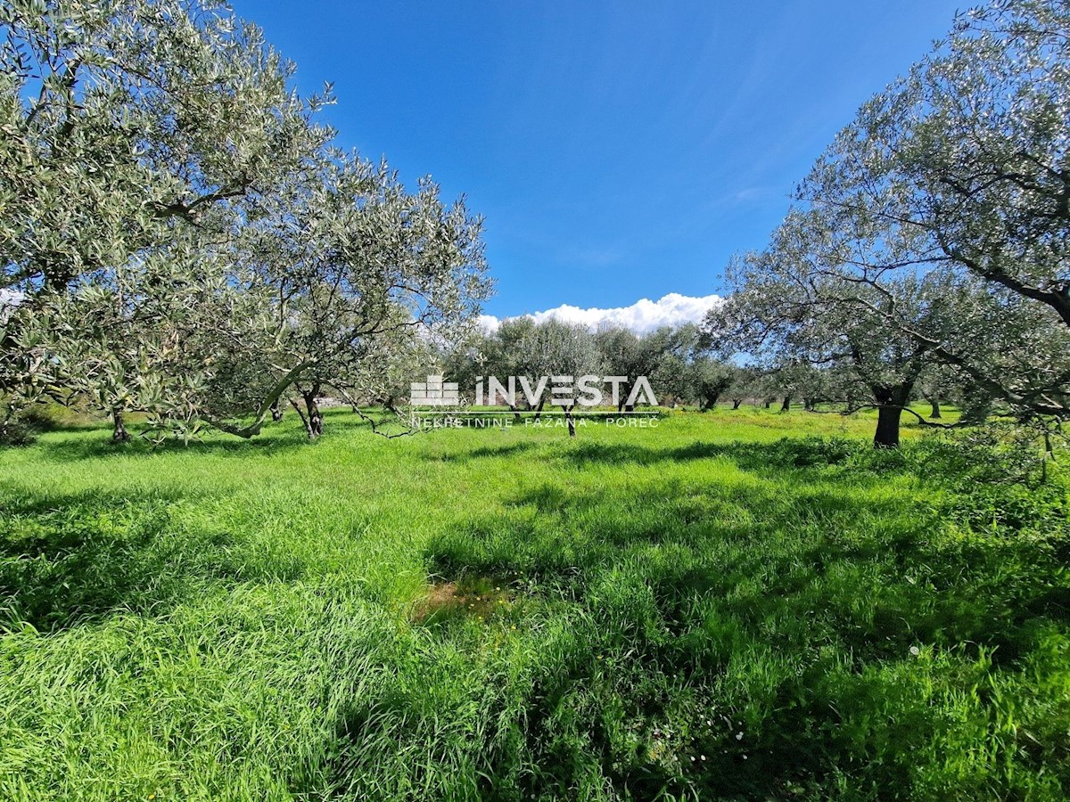 Land For sale - ISTARSKA VODNJAN