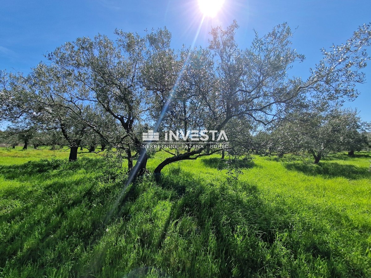 Land For sale - ISTARSKA VODNJAN