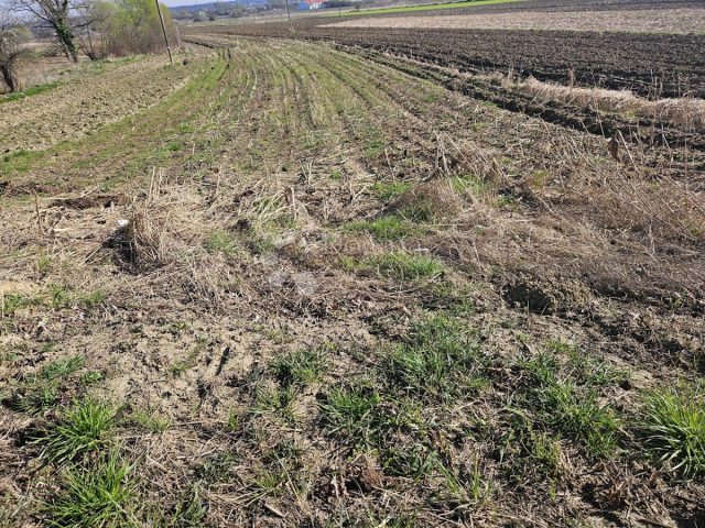 Działka Na sprzedaż - Varaždinska Beretinec - foto 2/7