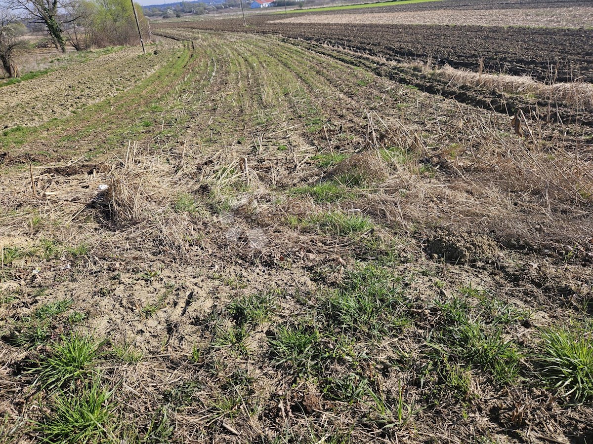 Terreno In vendita - VARAŽDINSKA BERETINEC