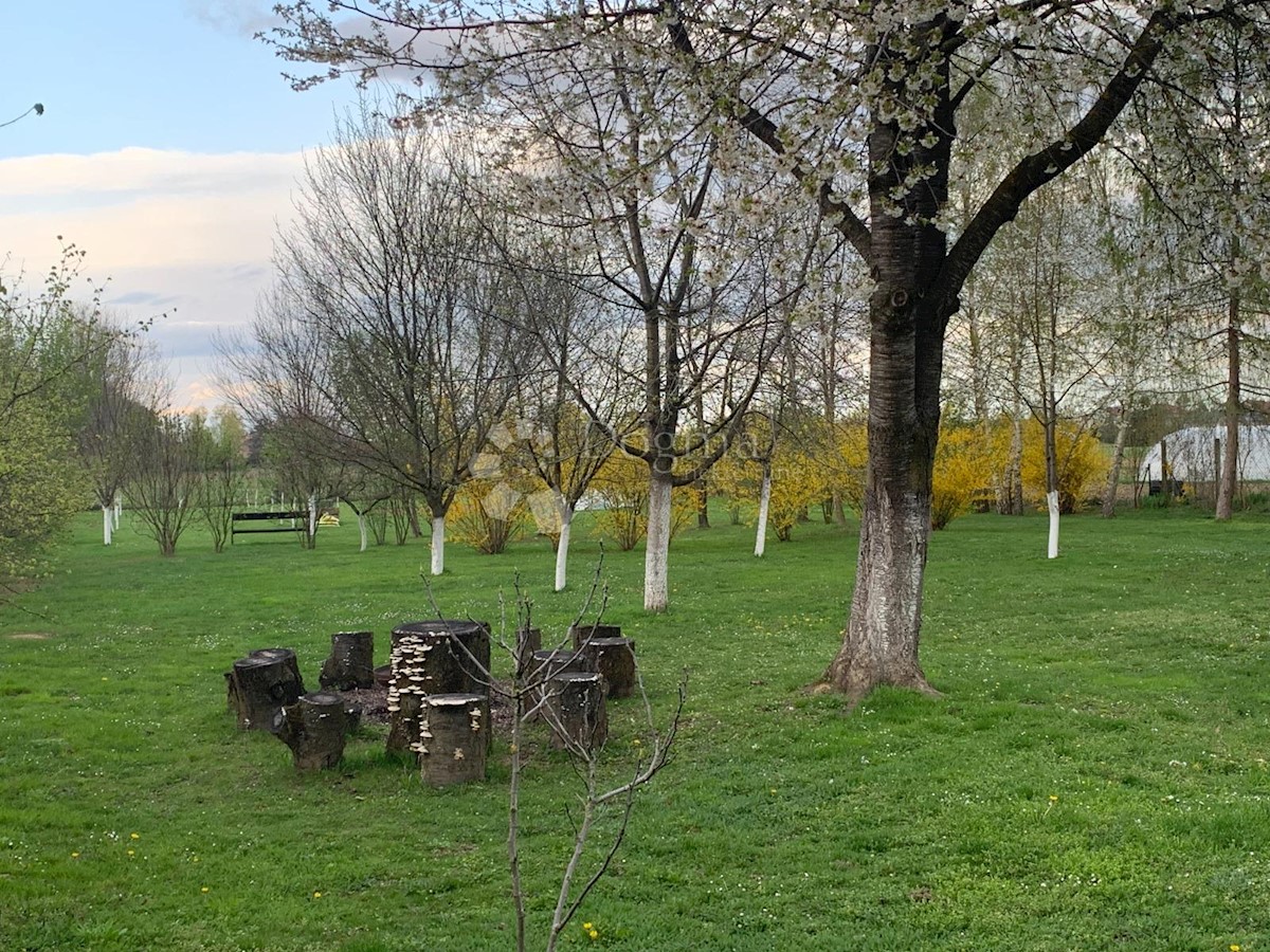 Haus Zu verkaufen - GRAD ZAGREB ZAGREB