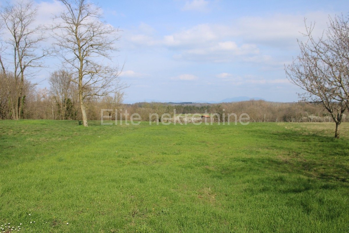 Land For sale - ISTARSKA SVETI PETAR U ŠUMI