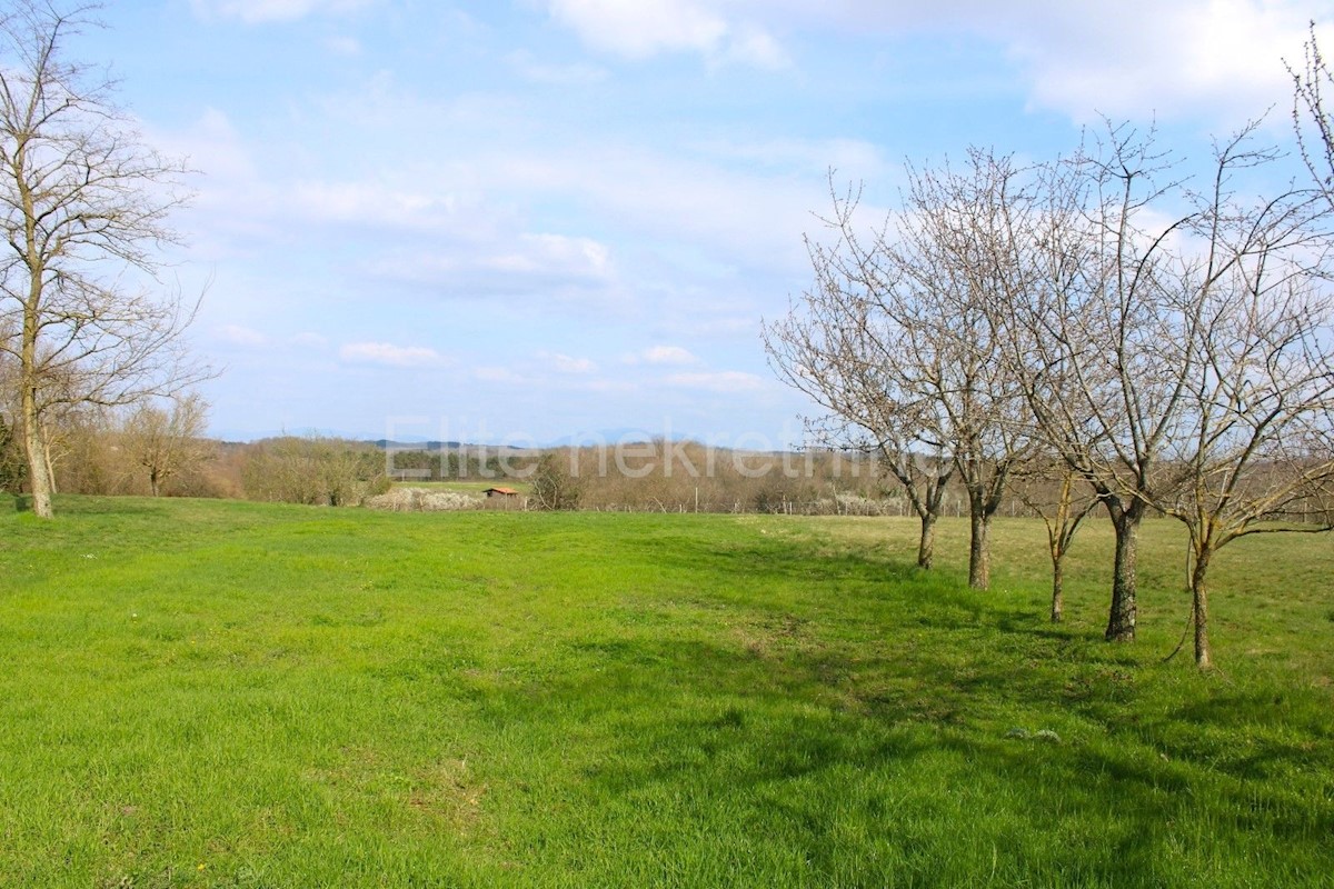 Land For sale - ISTARSKA SVETI PETAR U ŠUMI