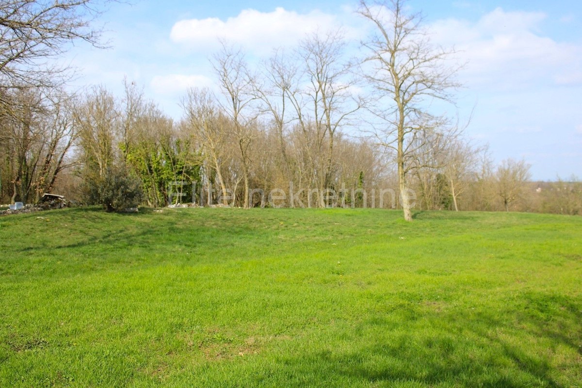 Land For sale - ISTARSKA SVETI PETAR U ŠUMI