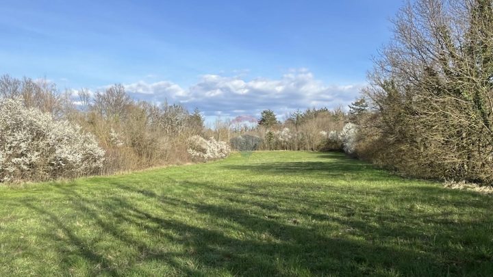 Land For sale - Istarska Pazin - foto 2/5