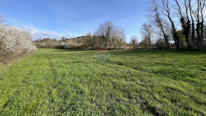 Land For sale - Istarska Pazin - foto 3/5