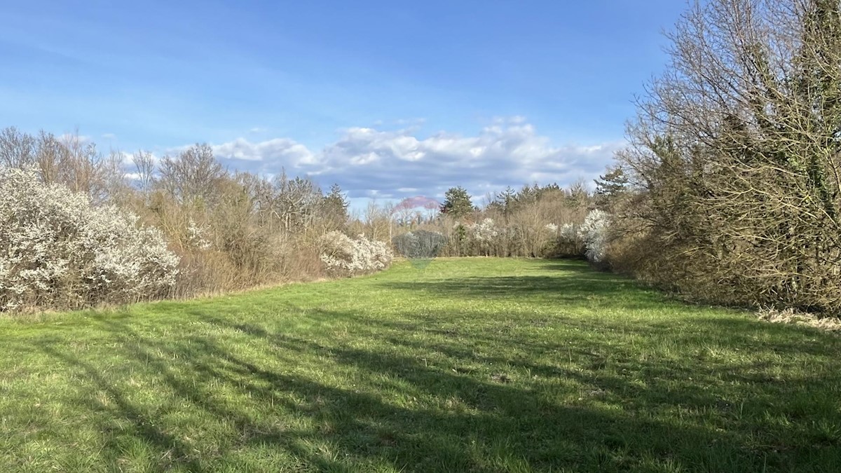 Terreno In vendita - ISTARSKA PAZIN