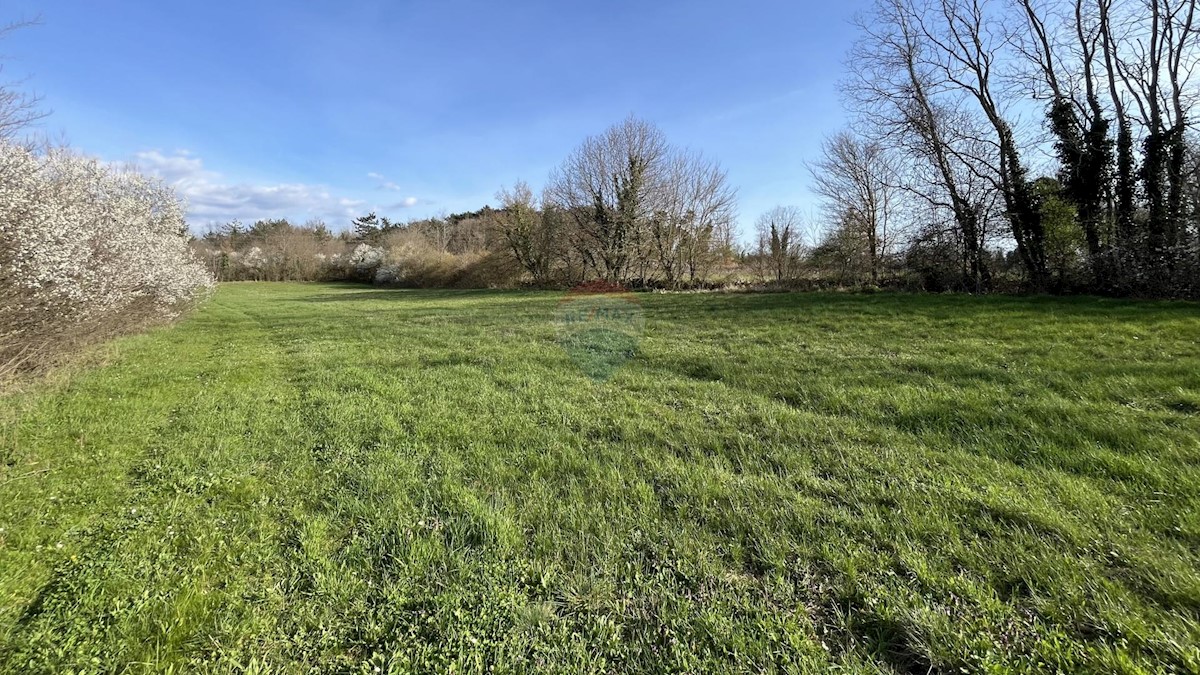 Terreno In vendita - ISTARSKA PAZIN