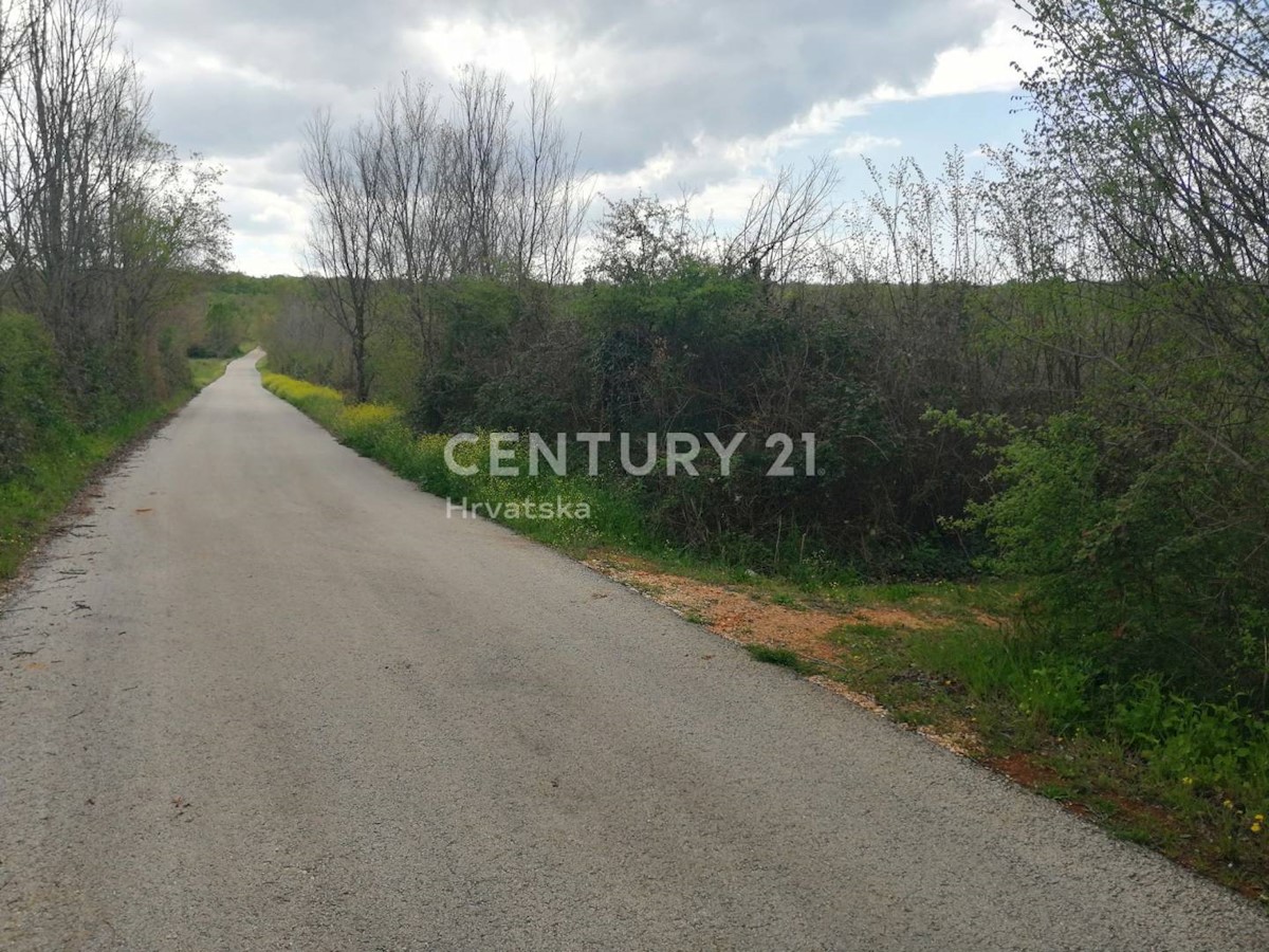 Land For sale - ISTARSKA SVETI LOVREČ