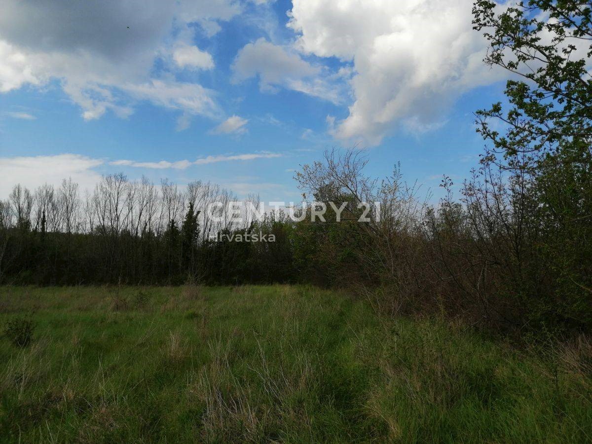 Land For sale - ISTARSKA SVETI LOVREČ