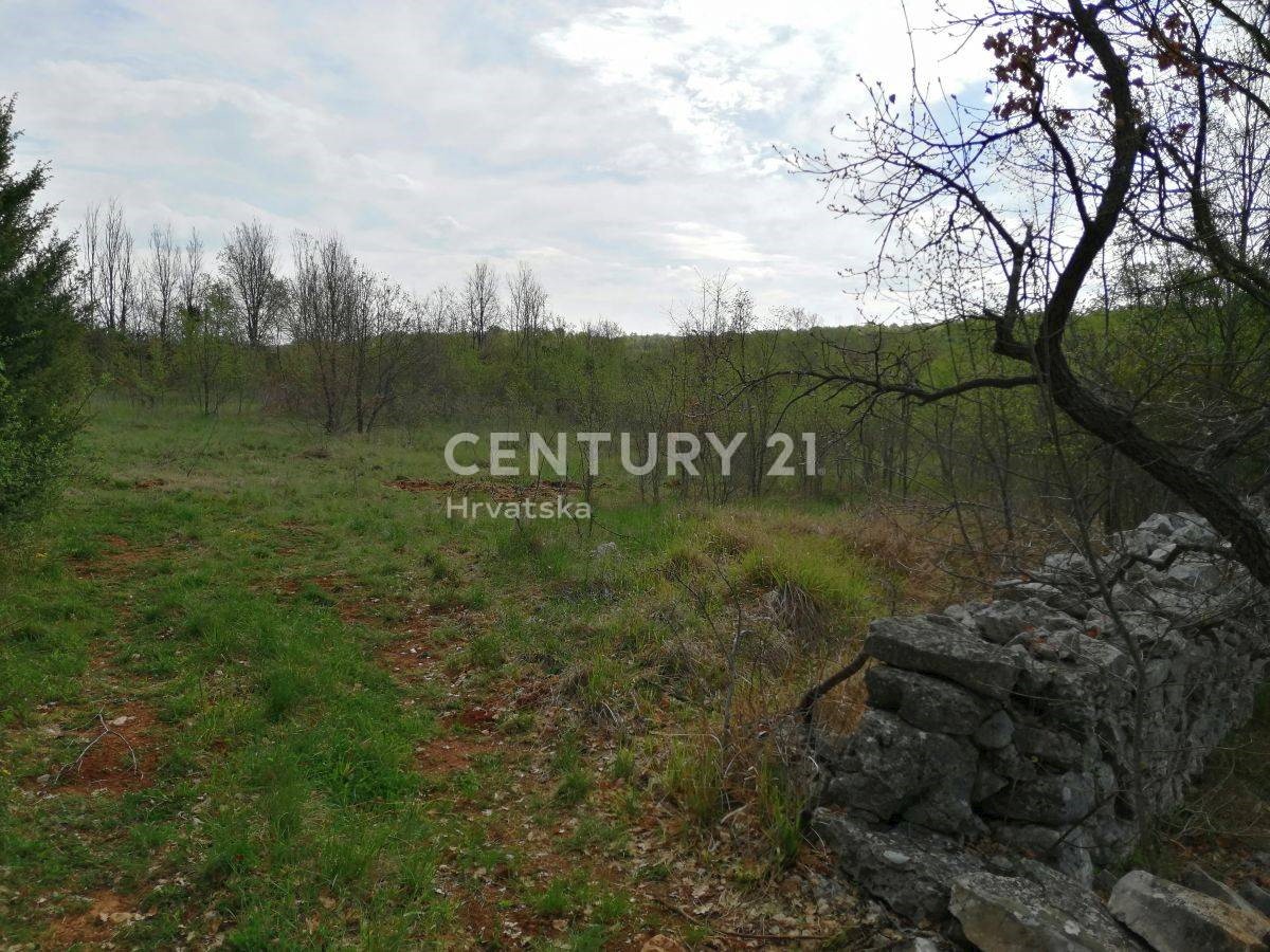 Land For sale - ISTARSKA SVETI LOVREČ