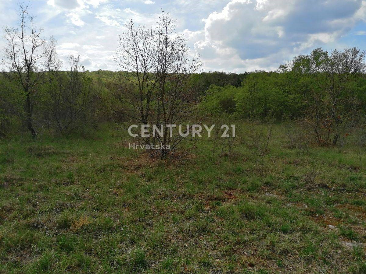 Land For sale - ISTARSKA SVETI LOVREČ