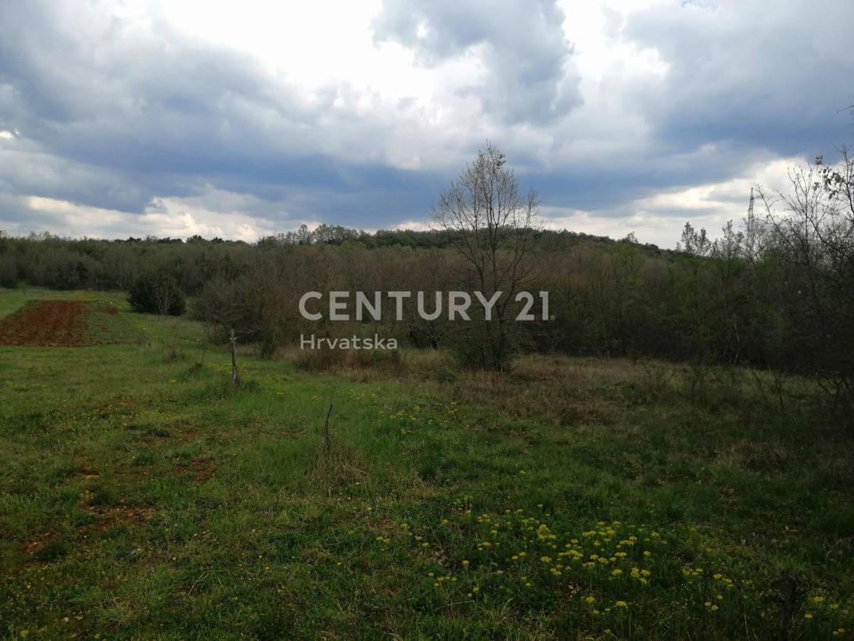 Terreno In vendita - ISTARSKA SVETI LOVREČ