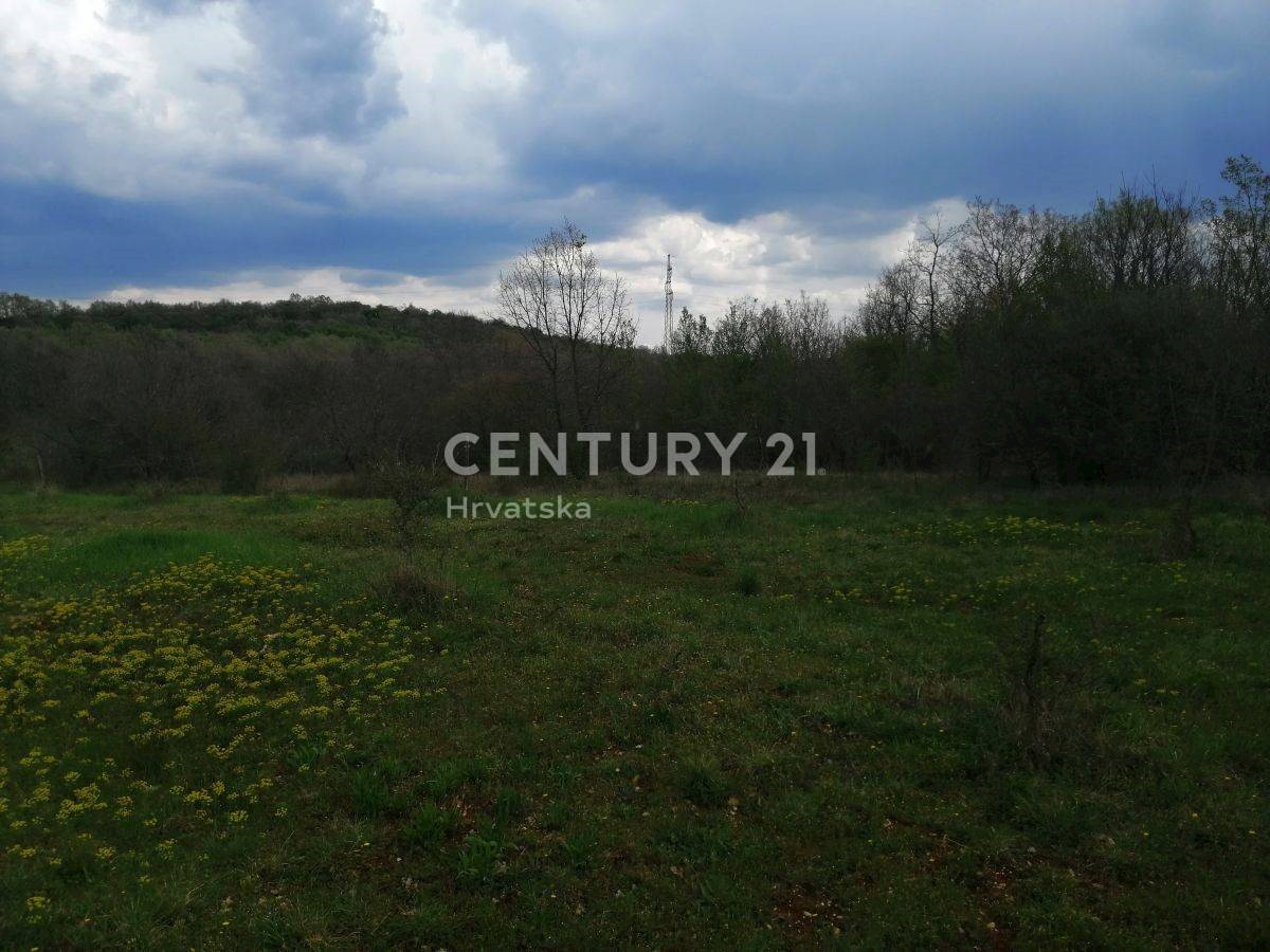 Terreno In vendita - ISTARSKA SVETI LOVREČ