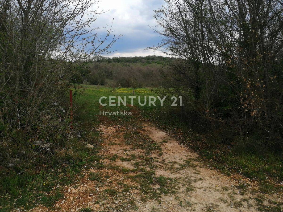 Terreno In vendita - ISTARSKA SVETI LOVREČ