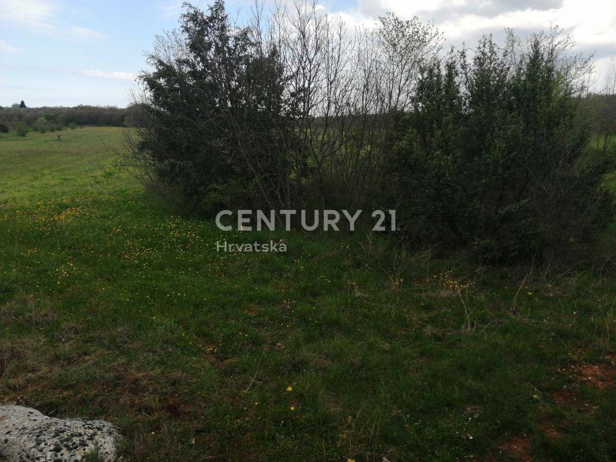 Land For sale - ISTARSKA SVETI LOVREČ