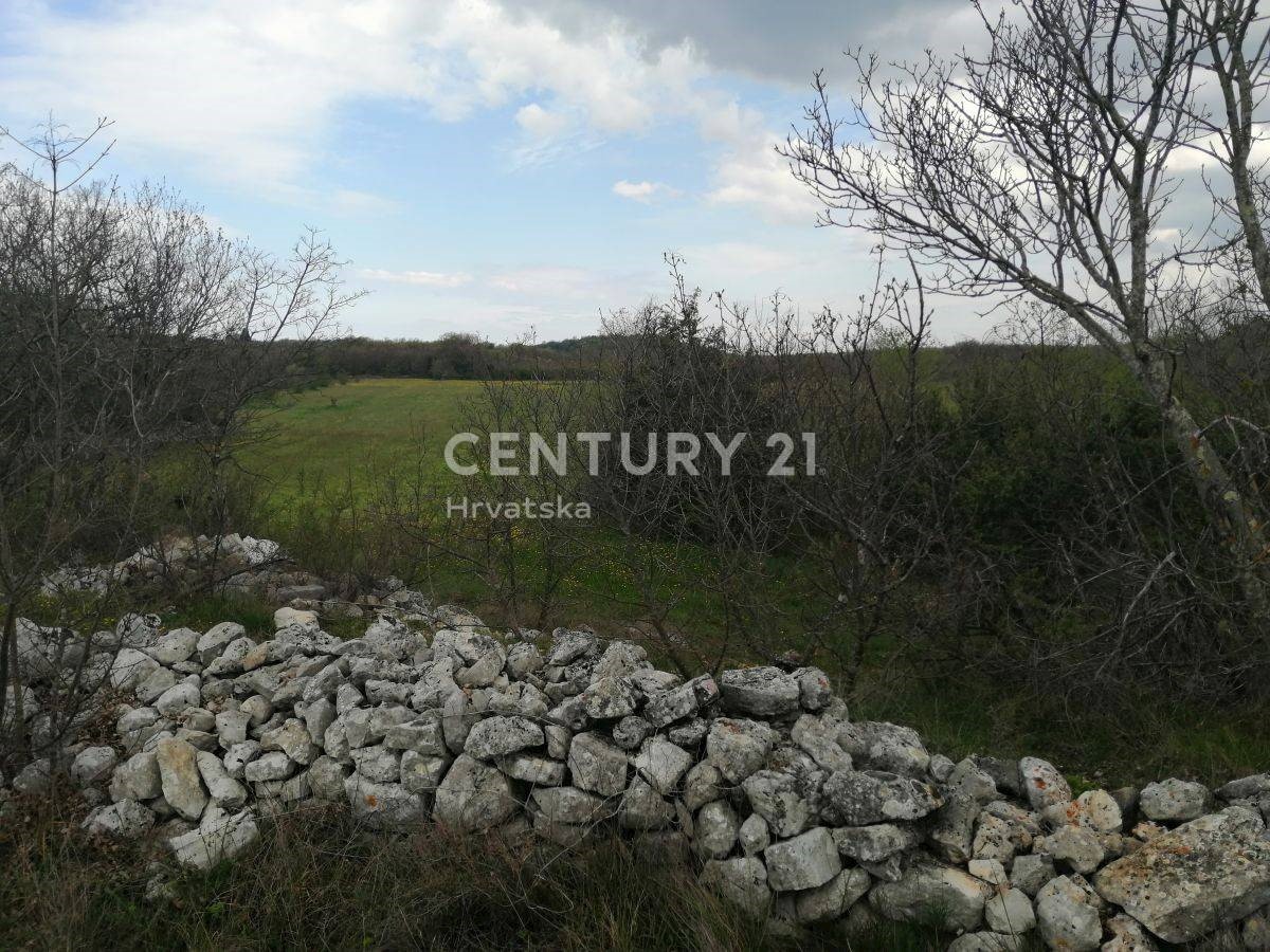 Land For sale - ISTARSKA SVETI LOVREČ