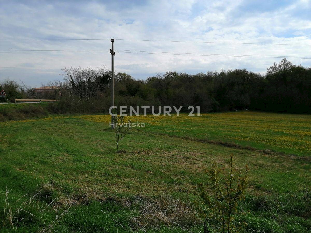 Land For sale - ISTARSKA SVETI LOVREČ