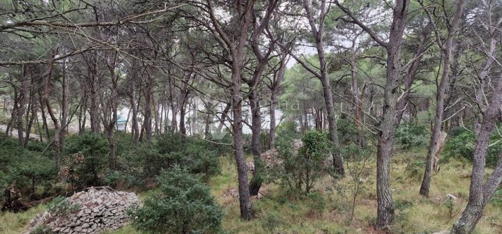 Land for sale 4277 m² – Milna