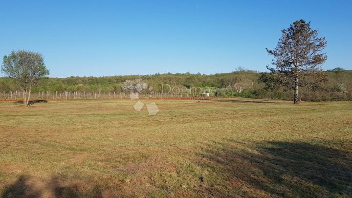 Terreno in vendita 10670 m² – Krnica