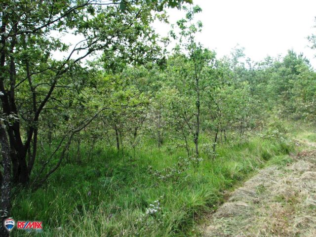 Grundstück zu verkaufen 4737 m² – Labin