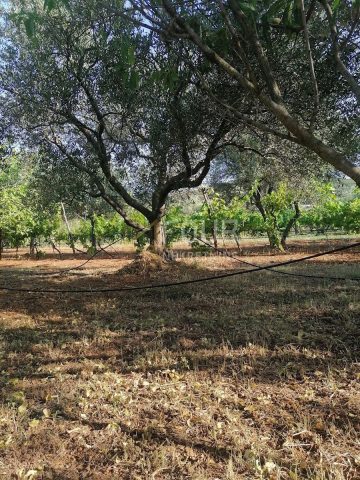 Terrain à vendre 4471 m² – Rovinj
