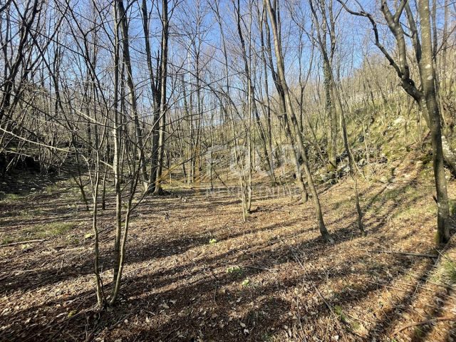 Grundstück zu verkaufen 10317 m² – Viškovo