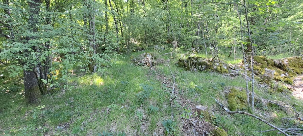 Terreno In vendita - PRIMORSKO-GORANSKA MATULJI