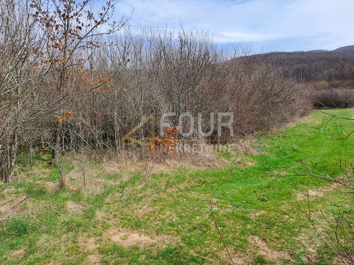 Land For sale SINAC