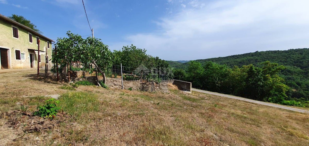 House For sale - ISTARSKA BUZET