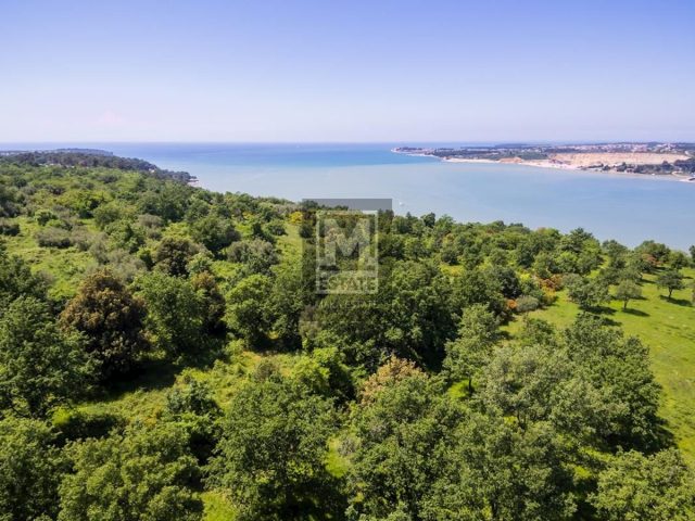 Terreno in vendita 11157 m² – Poreč