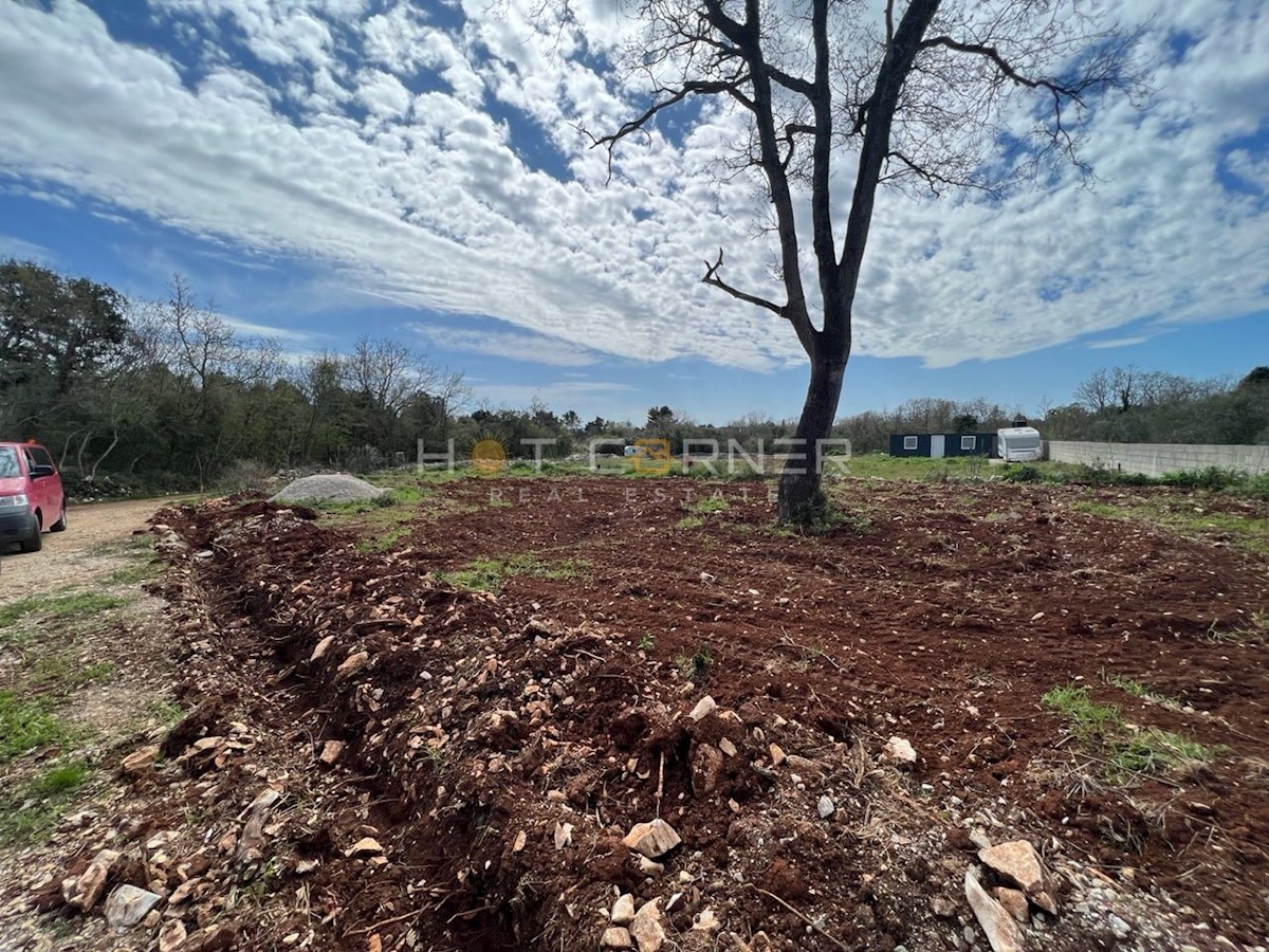 Terreno In vendita