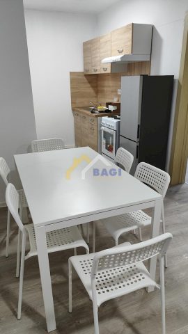 Flat for rent 220 m² – Dubec