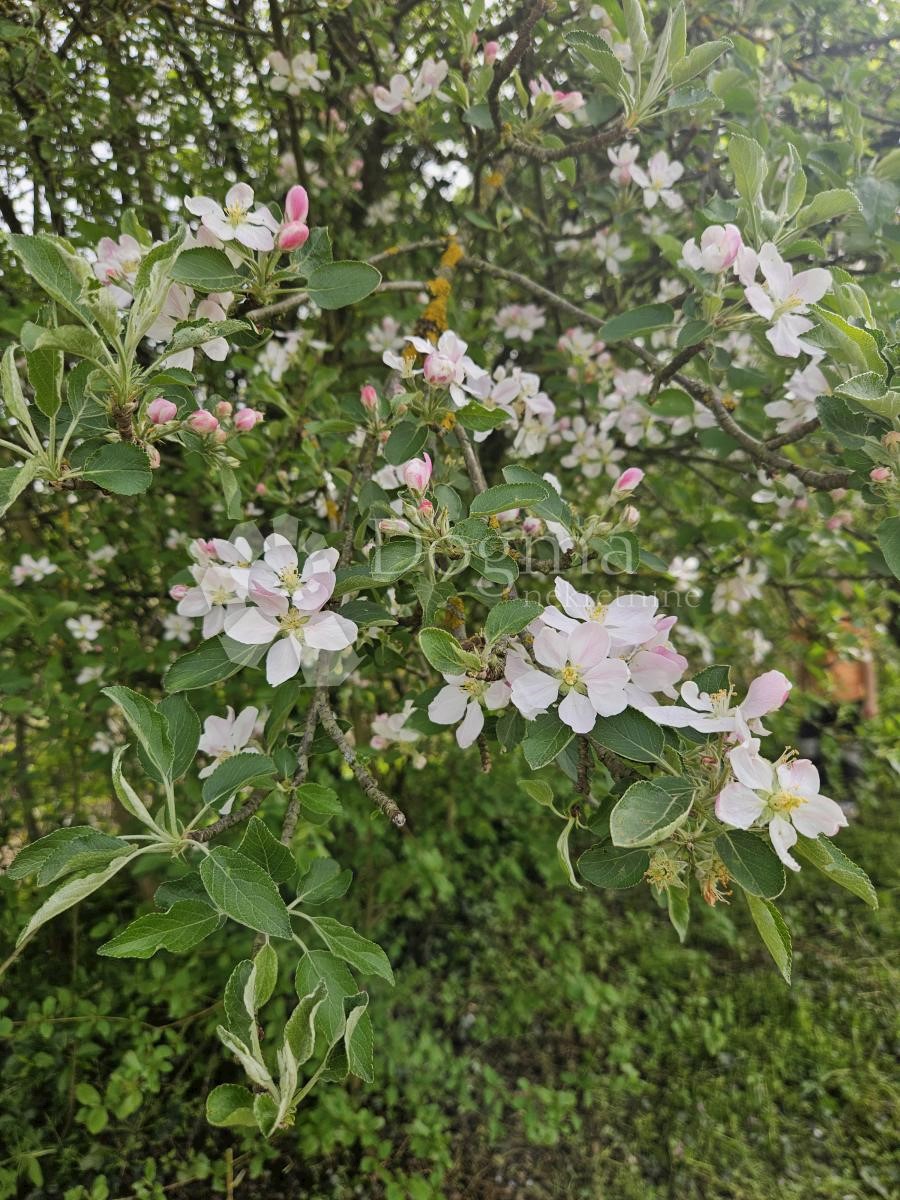 Dům Na prodej - VARAŽDINSKA LUDBREG