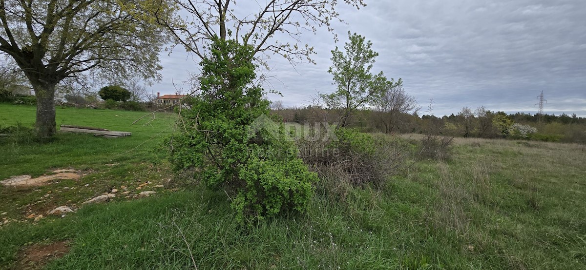 Parcela Na predaj - ISTARSKA MARČANA