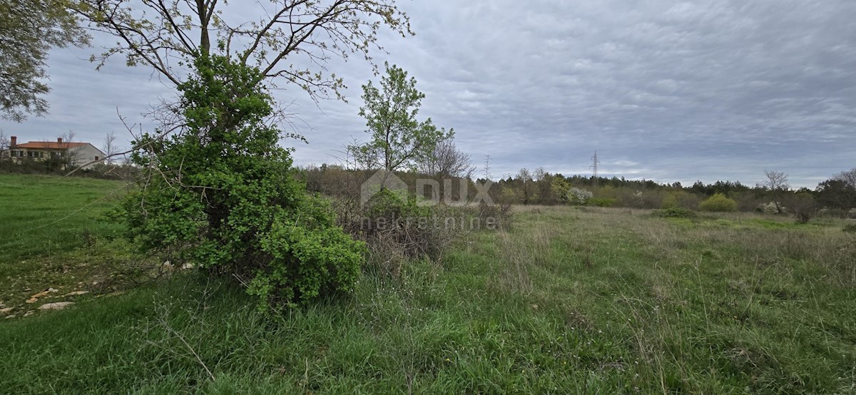 Terreno In vendita - ISTARSKA MARČANA