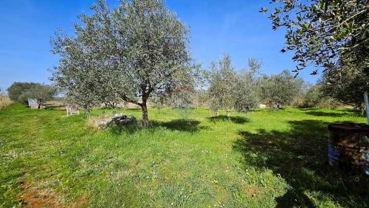 Terrain à vendre 4187 m² – Umag