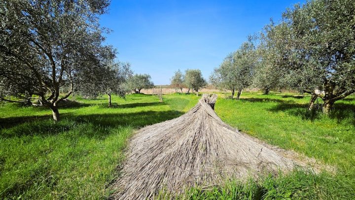Grundstück Zu verkaufen - Istarska Umag - foto 3/6